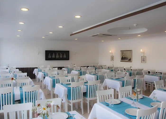 Dickman Elite 3* 锡德