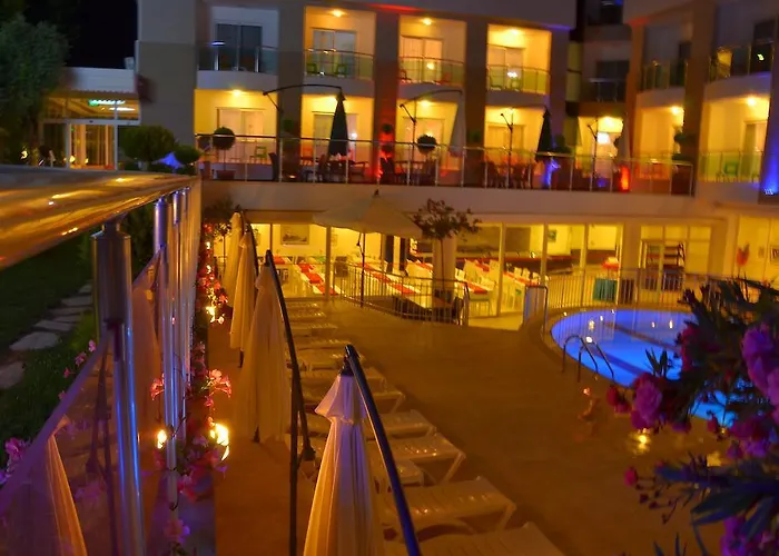 Dickman Elite 锡德